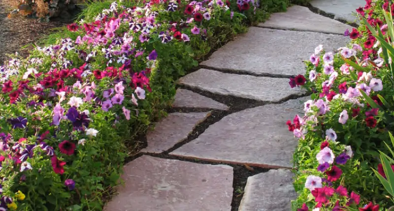 natural stone pathway