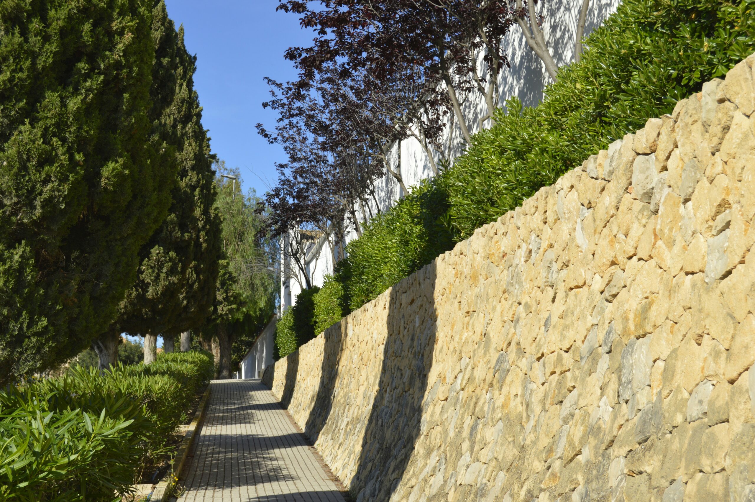 alan-goswell-_w05QnZBynY-unsplash