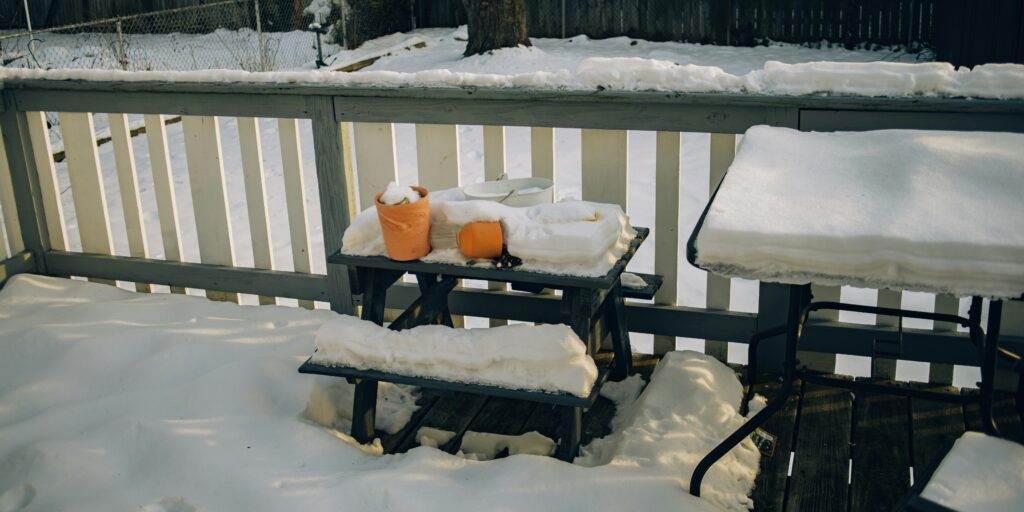 bruno guerrero ZNntImZXWEU unsplash