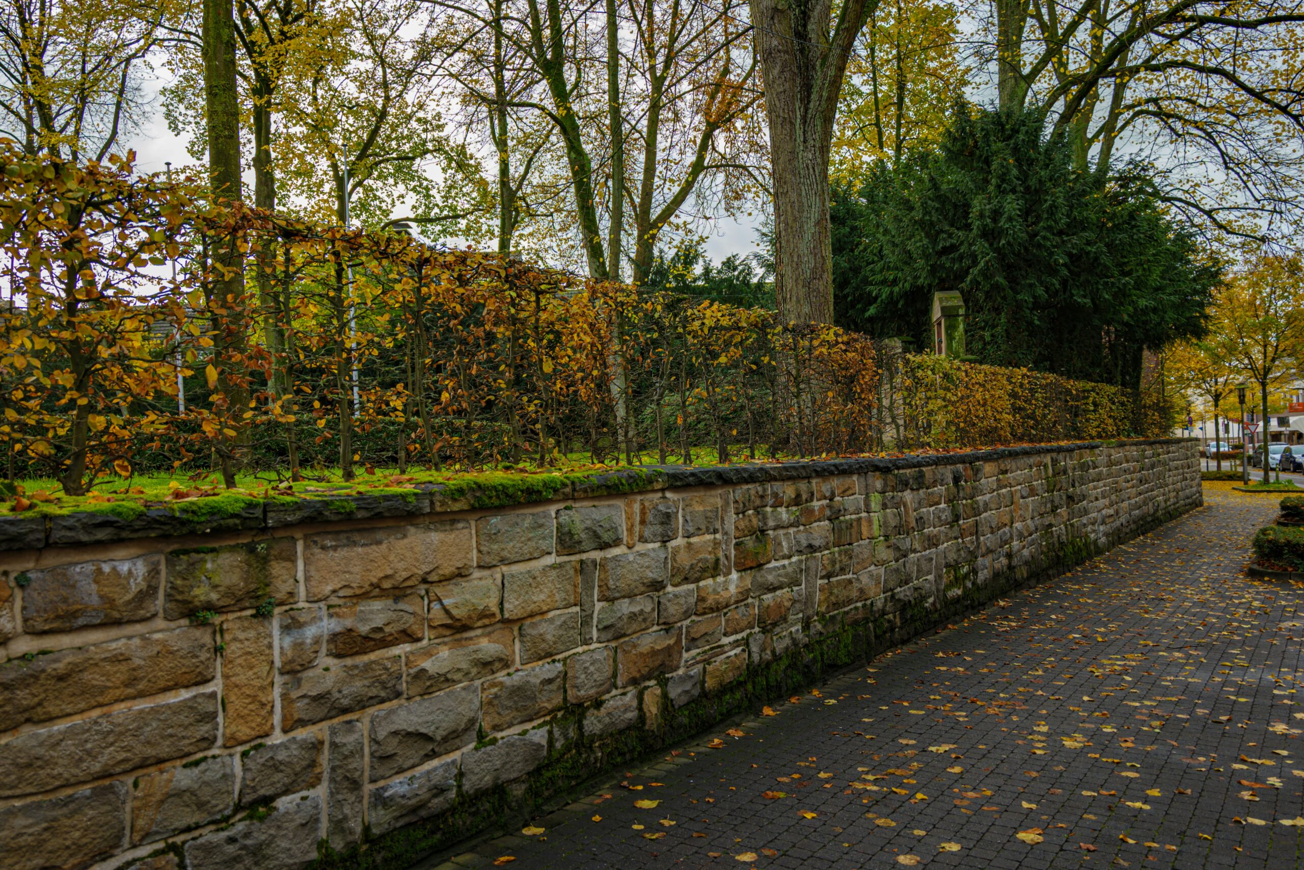 sergej-karpow-4i13XwnMcBw-unsplash