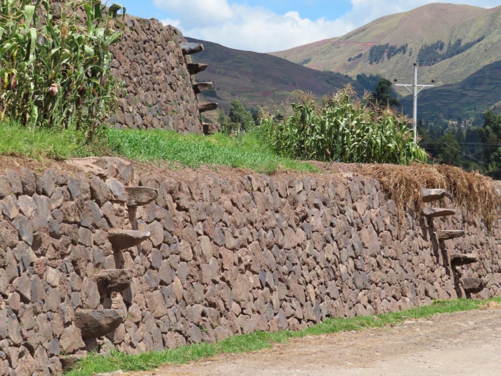 Creating Functional Outdoor Spaces with Retaining Walls 7 pexels freya tienan 2150916098 38011990